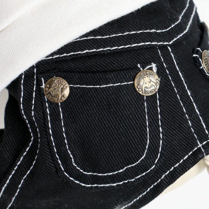 Комбинезон Комбинезон "Единорог", размер 10 (ДС 25 см, ОГ 34 см, ОШ 24 см), бело-синий