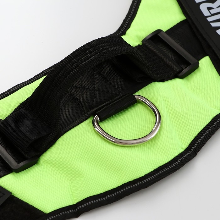 Шлейка К9 мягкая светоотражающая, размер ХХL, ОГ 95-110 см, вес 40-70 кг, салатовая Шлейка К9 мягкая светоотражающая, размер ХХL, ОГ 95-110 см, вес 40-70 кг, салатовая
