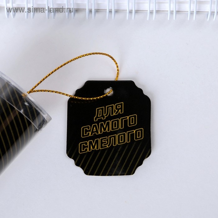 Ручка шариковая синяя паста в тубусе Ручка шариковая синяя паста в тубусе "Для самого смелого", пластик