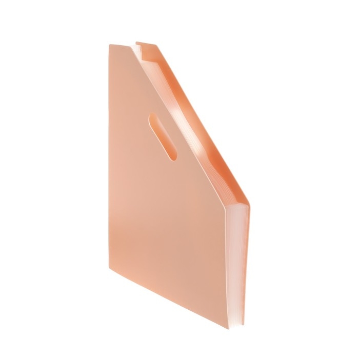 Лоток вертикальный для бумаг пластиковый А4 Calligrata, 12 отделений Лоток вертикальный для бумаг пластиковый А4 Calligrata, 12 отделений