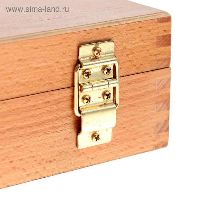 Этюдный ящик, бук, 39,5 х 30 х 8,3см Этюдный ящик, бук, 39,5 х 30 х 8,3см