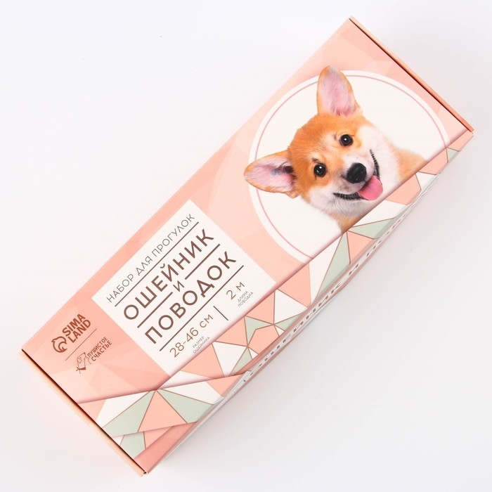 Набор &laquo;Ромбы&raquo;, застёжка - фастекс, поводок 2 м и ошейник 28-46 см