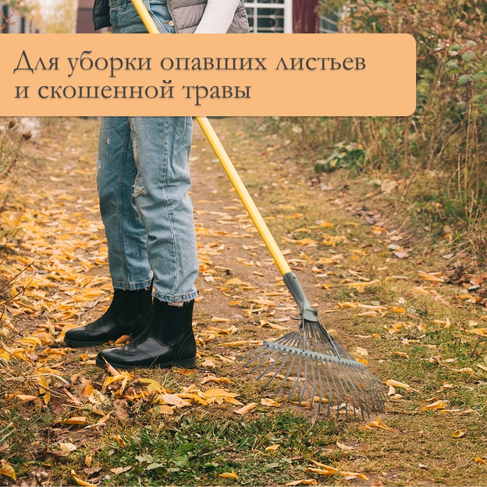 Грабли веерные, пластинчатые, 22 зубца, оцинкованная сталь, тулейка 30 мм, без черенка Грабли веерные, пластинчатые, 22 зубца, оцинкованная сталь, тулейка 30 мм, без черенка