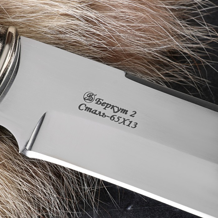 Нож кавказский Нож кавказский "Беркут 2" сталь - 65Х13, гарда
