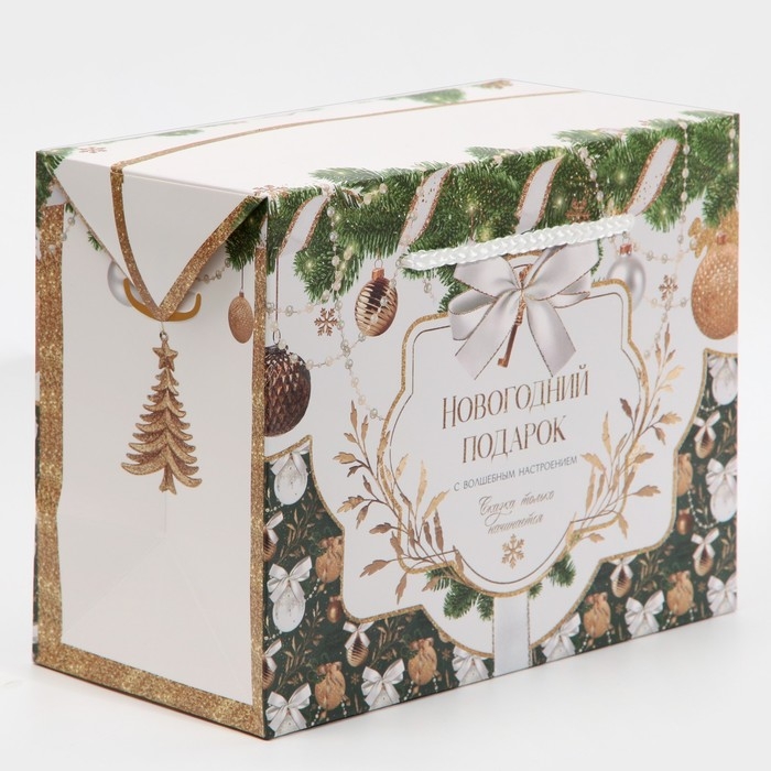 Пакет-коробка «Подарок для тебя», 23 х 18 х 11 см, Новый год Пакет-коробка «Подарок для тебя», 23 х 18 х 11 см, Новый год