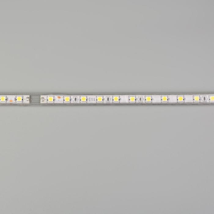 Светодиодная лента Ecola STD 14 × 7 мм, 50 м, IP68, SMD5050, 60 LED/м, 14.4 Вт/м, 220 В, 6000К