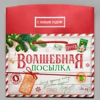Пакет - коробка новогодний &laquo;Волшебная посылка&raquo;, 28&times;20&times;13 см
