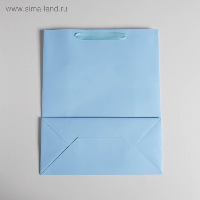 Пакет подарочный, упаковка, &laquo;Голубой&raquo;, 26 х 32 х 12 см