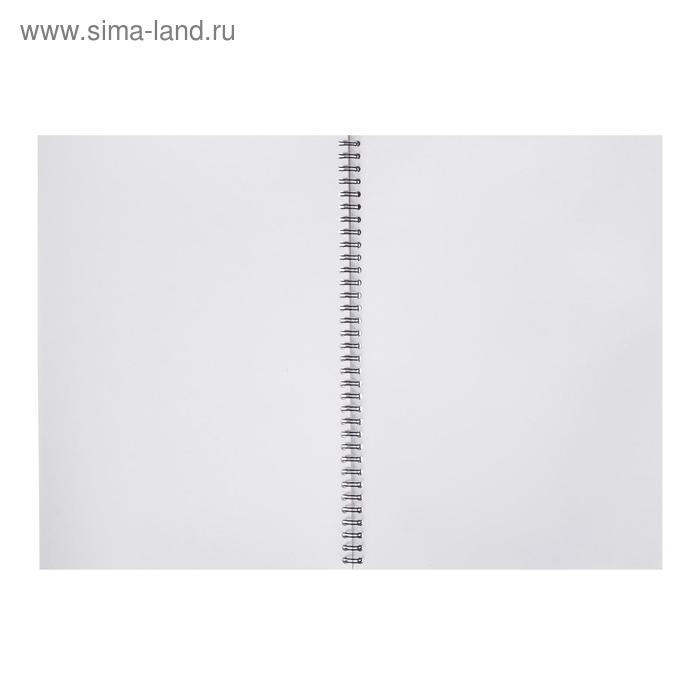 Альбом для эскизов А4, 40 листов на гребне ErichKrause MyDesign, пластиковая обложка, блок 120 г/м2 Альбом для эскизов А4, 40 листов на гребне ErichKrause MyDesign, пластиковая обложка, блок 120 г/м2