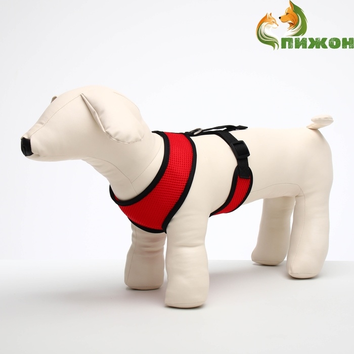 Шлейка мягкая из неопрена, размер L, ОШ 39 см, ОГ 36-46 см, красная Шлейка мягкая из неопрена, размер L, ОШ 39 см, ОГ 36-46 см, красная