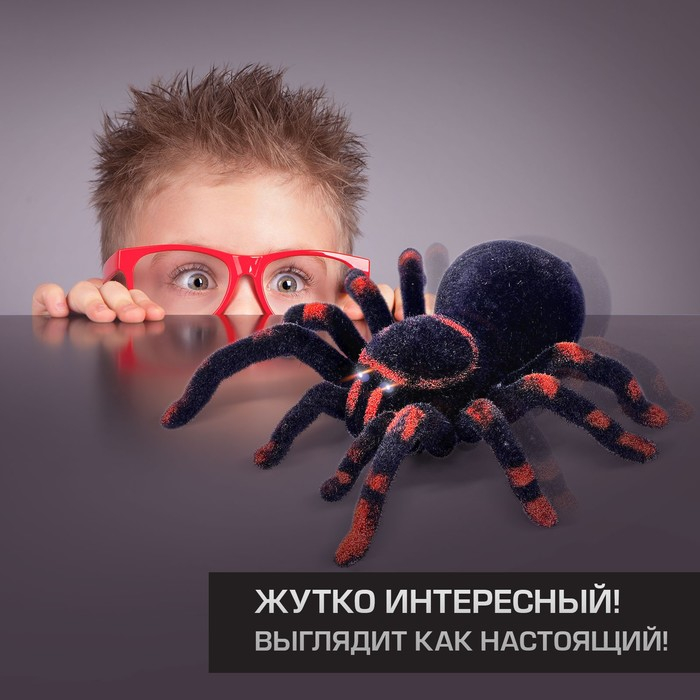 Паук радиоуправляемый «Тарантул», работает от батареек, световые эффекты Паук радиоуправляемый «Тарантул», работает от батареек, световые эффекты