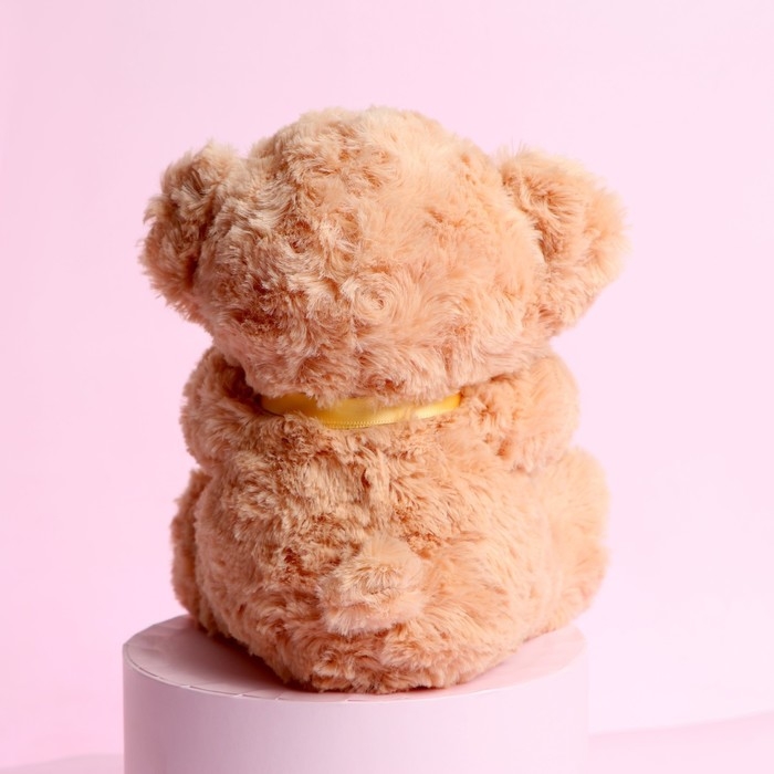 Мягкая игрушка «Ты - моё счастье», медведь, 22 см, МИКС Мягкая игрушка «Ты - моё счастье», медведь, 22 см, МИКС