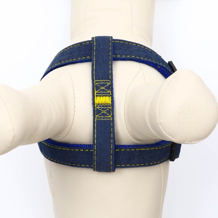 Шлейка Шлейка "Джинс", синий подклад, ширина 2 см, ОШ 45-70 см, ОГ 45-70 см