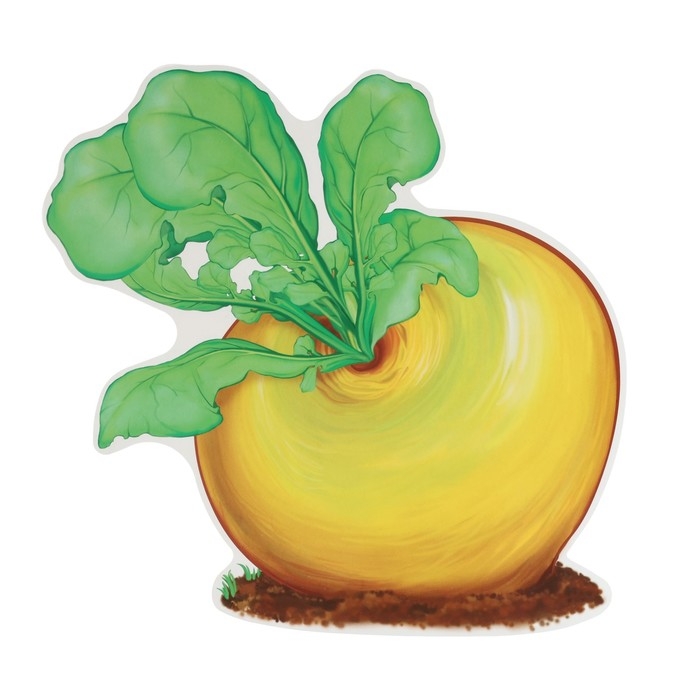 Набор украшений на скотче Набор украшений на скотче "Герои сказки Репка" 10 штук