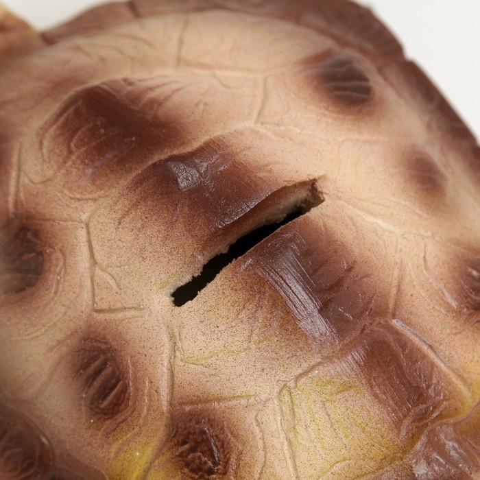 Копилка Копилка "Черепаха Полина" 18х15х8см