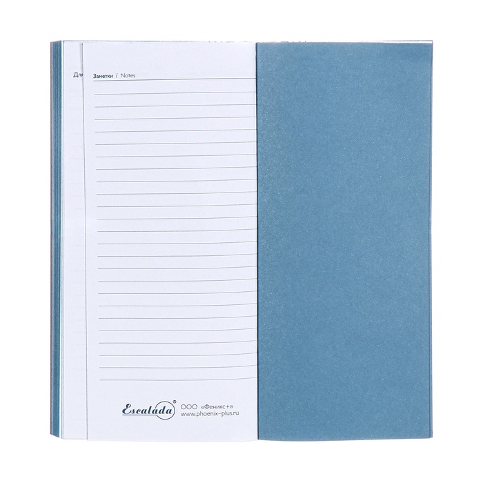 Еженедельник датированный 2025 года, 80х165 мм, 64 листа ESCALADA, мягкая обложка из искусственной кожи, блинтовое тиснение, блок 70 г/м², голубой Еженедельник датированный 2025 года, 80х165 мм, 64 листа ESCALADA, мягкая обложка из искусственной кожи, блинтовое тиснение, блок 70 г/м², голубой