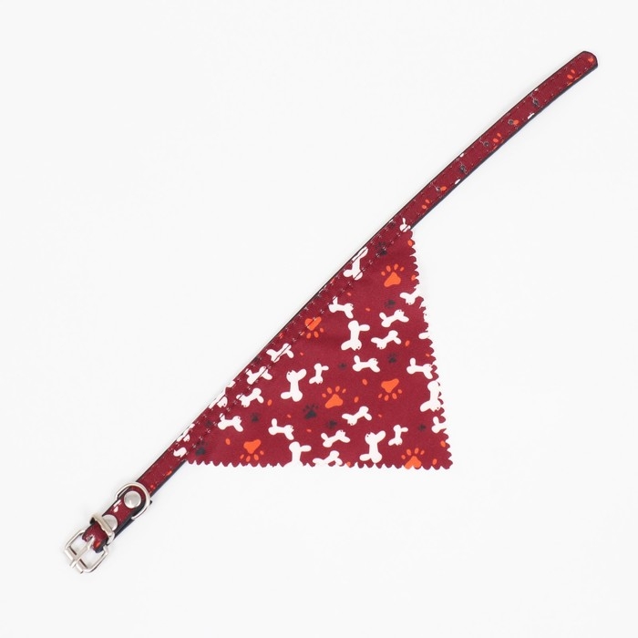 Ошейник с косынкой Ошейник с косынкой "Яркая жизнь", 32 х 1 см, бордовый