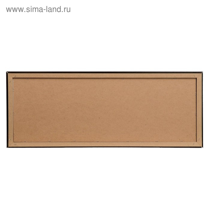 Картина  Картина "Орхидеи" 42х107 см