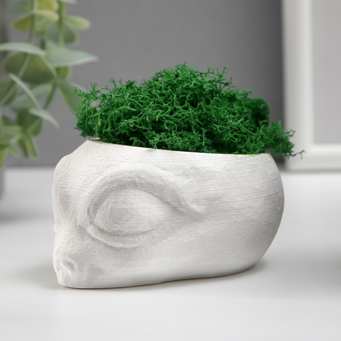 Кашпо бетонное  Кашпо бетонное "Пришелец" высота 5 см, диаметр 6 см белый со мхом (мох зелен. стабилизир)