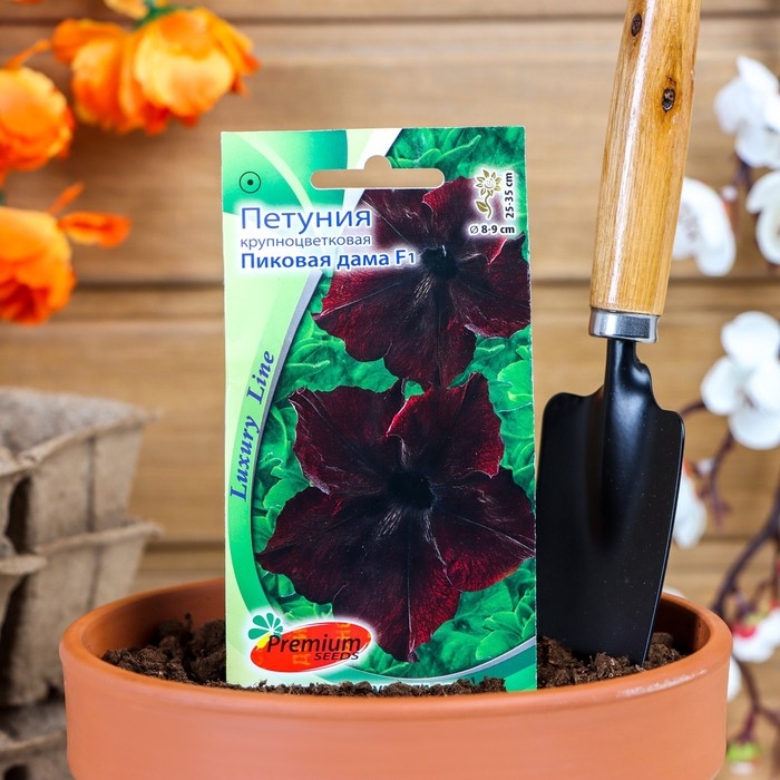 Семена цветов Петуния крупноцветковая Семена цветов Петуния крупноцветковая "Пиковая дама" F1
