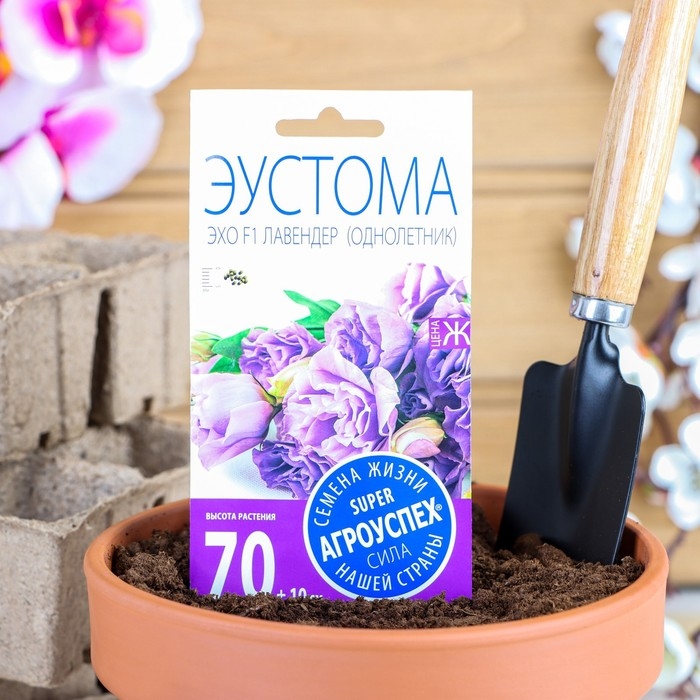 Семена цветов Эустома  Семена цветов Эустома "Эхо Лавендер", F1, О, драже, 5 шт
