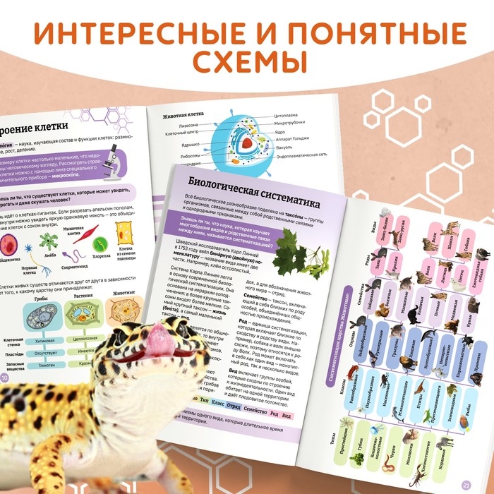 Энциклопедия в мягком переплёте «Биология для детей», 68 стр. Энциклопедия в мягком переплёте «Биология для детей», 68 стр.