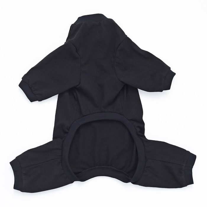 Комбинезон однотонный чёрный, L (ДС 39, ОШ 36-38, ОГ 60-62) Комбинезон однотонный чёрный, L (ДС 39, ОШ 36-38, ОГ 60-62)