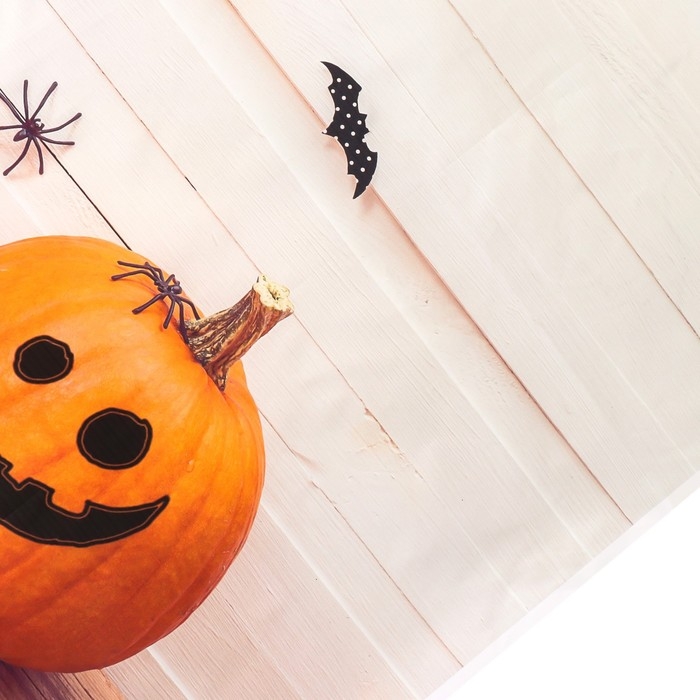 Фотофон винил Фотофон винил "Тыковки и летучие мыши" 80х125 см