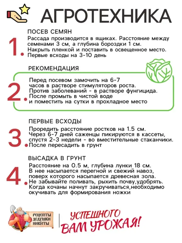 Семена Капуста цветная &laquo;Осенний гигант&raquo; 0.1 г, &laquo;Рецепты дедушки Никиты&raquo;