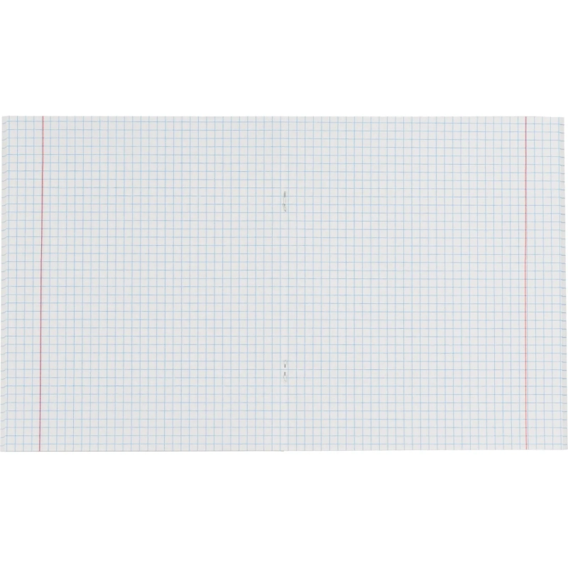 Бизнес-тетрадь Принты А5 48л, клетка, обл. мел. картон, скрепка,птицы