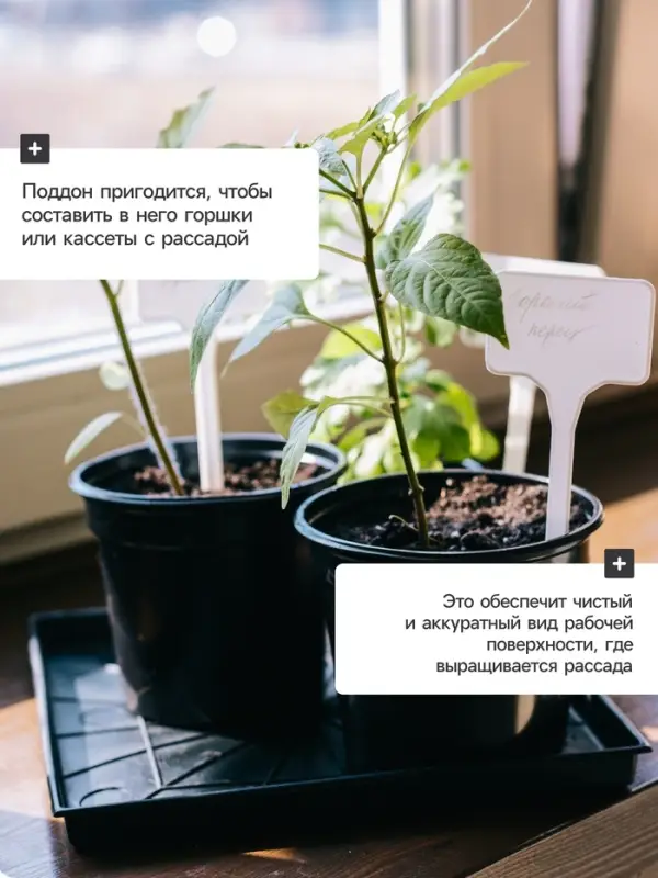 Поддон для рассады, 21×21×1.7 см, пластик, чёрный