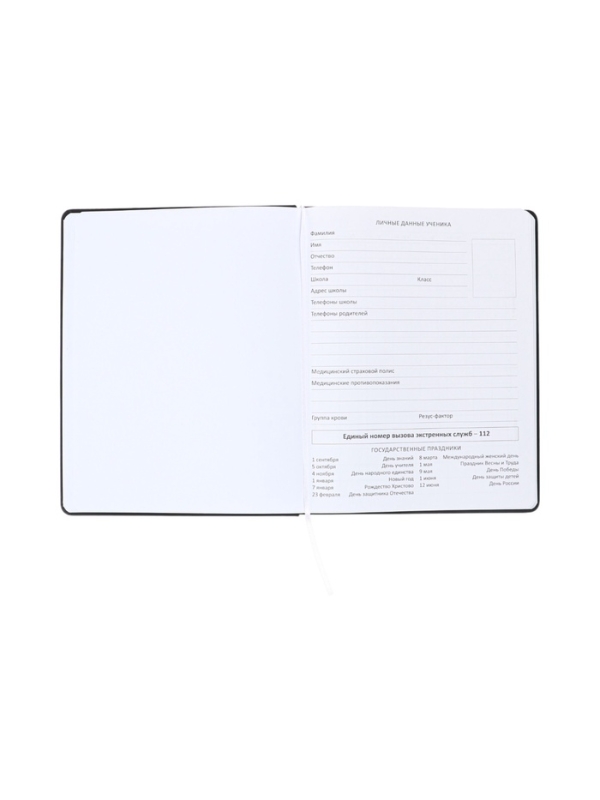 Дневник школьный 1-11 класс, deVENTE.Super Spy, искусственная кожа, поролон