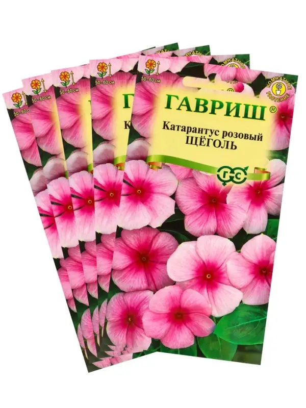 Набор семян комнатных Барвинок &laquo;Щеголь&raquo;, 5 шт., &laquo;Мой выбор&raquo;