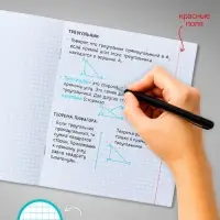 Набор тетрадей, 48 листов в клетку, Calligrata &laquo;В розовых очках&raquo;, серые листы, 5 штук