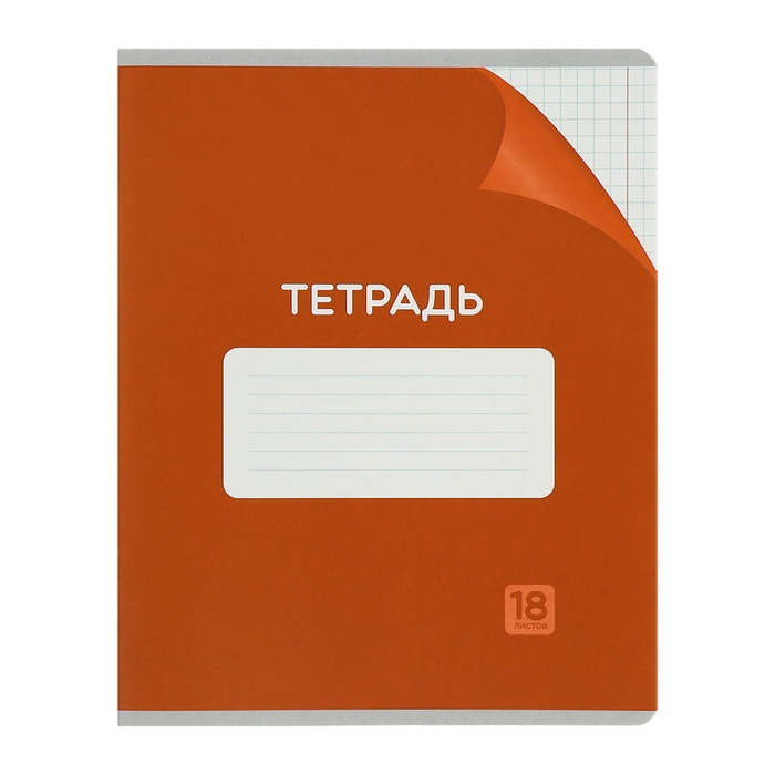 Комплект тетрадей из 10 штук, 18 листов в клетку Calligrata "Однотонная Классика с уголком. Эконом", обложка мелованный картон, ВД-лак, блок №2, белизна 75% (серые листы), 5 видов по 2 штуки