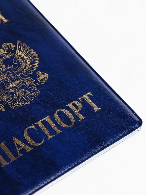 Обложка для паспорта, искусственная кожа, тиснение, синяя