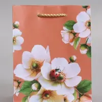 Пакет подарочный ламинированый "Гармония" 11,5 х 14,5 х 6,5 см