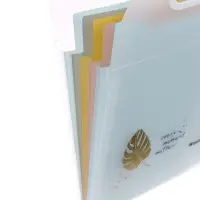 Папка А4 Eco, 6 отделений, 650 мкм, вертикальная, с ручкой, прозрачная, с рисунком