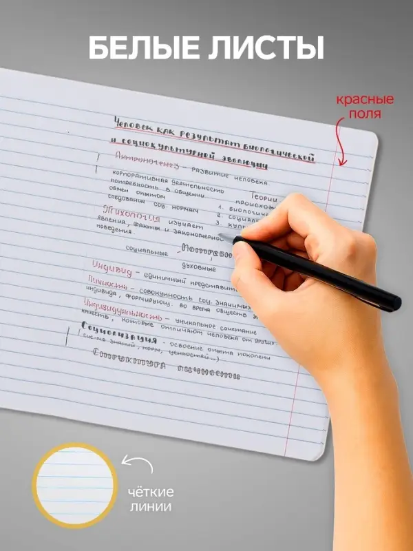 Комплект тетрадей из 10 штук, 18 листов в линию Calligrata "Тачки", обложка мелованный картон, ВД-лак, блок офсет, 5 видов по 2 штуки