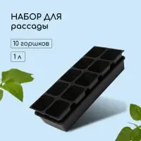 Набор для рассады: стаканы по 1 л (10 шт.), поддон 61&times;23 см, чёрный