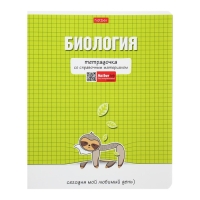 Комплект предметных тетрадей 48 листов «Тетрадочка», 10 предметов, обложка мелованный картон, матовая ламинация