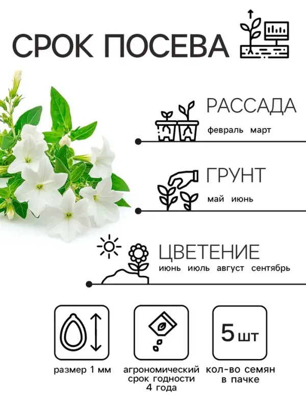 Семена цветов Лобелия ампельная  Семена цветов Лобелия ампельная "Белый каскад", 5 шт.