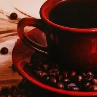 Ланч - бокс прямоугольный &laquo;Кофе&raquo;, 500 мл
