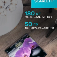 Весы