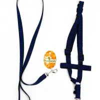 Комплект амуниции рельефный, поводок 120&times;2 см, ОГ 44-50 см, сине-чёрный