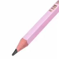 Карандаши чернографитные BIC HB Evolution &laquo;Пастель&raquo;, набор 5 штук, пластиковые, с ластиками