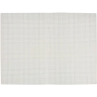 Тетрадь общая А4,48л,кл,скоб,офсет-2 Ice син/зел