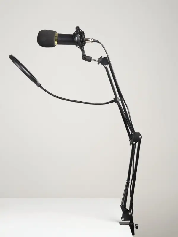 Микрофон конденсаторный Music Life золотой: кабель, ветрозащита, стойка