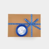 Лента атласная &laquo;С Новым годом!&raquo;, 1 см &times; 23&plusmn;1 м, синяя