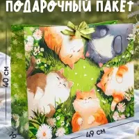 Пакет подарочный Happy birtday, XL, 49&times;40&times;19 см
